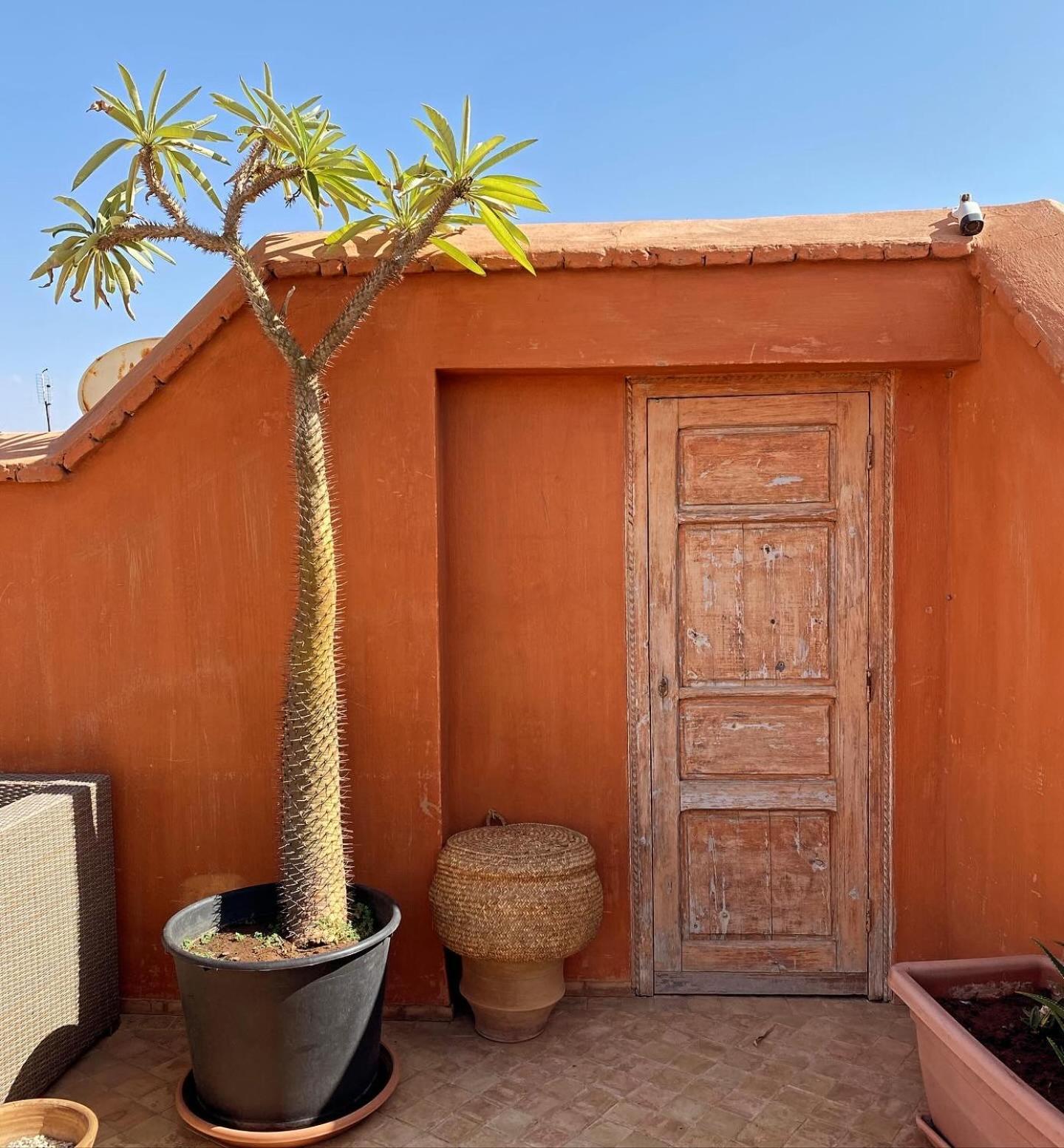 Riad Rossi Marakeş Dış mekan fotoğraf